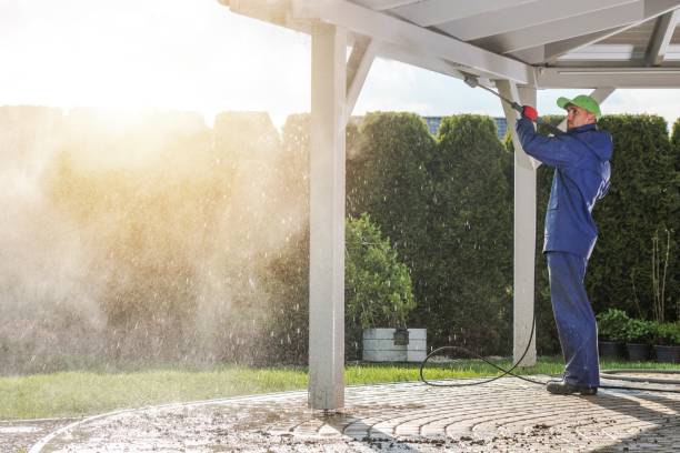 Animal Enclosure Cleaning in Rising Sun Lebanon, DE