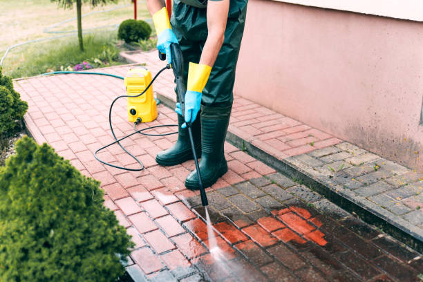 Best Gutter Cleaning  in Rising Sun Lebanon, DE